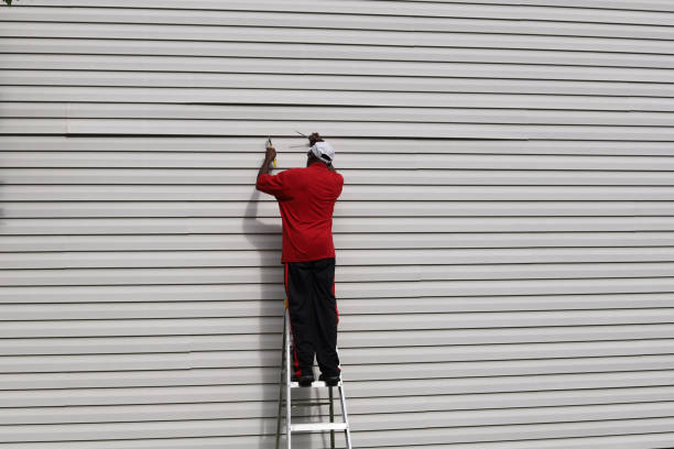 Best Custom Siding Design  in Red Bank, TN